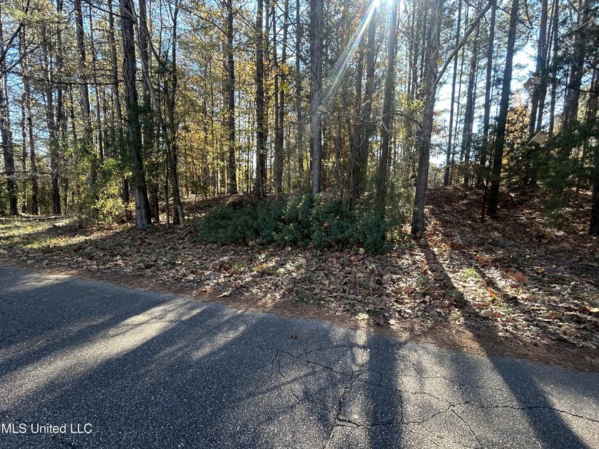 Build your dream home on this 2+/- acre residential lot located - photo 11