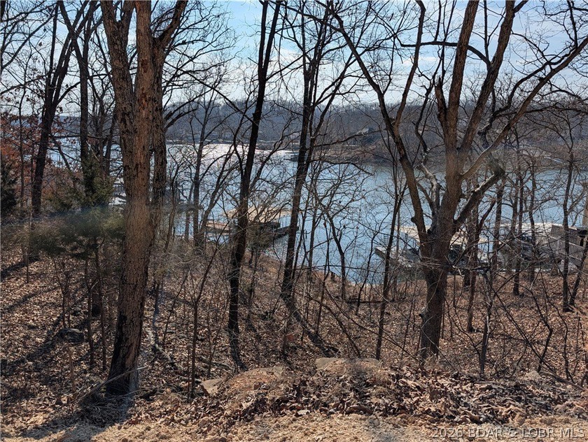 LAKE OF THE OZARKS - A very short walk to Paradise. Awesome - photo 12