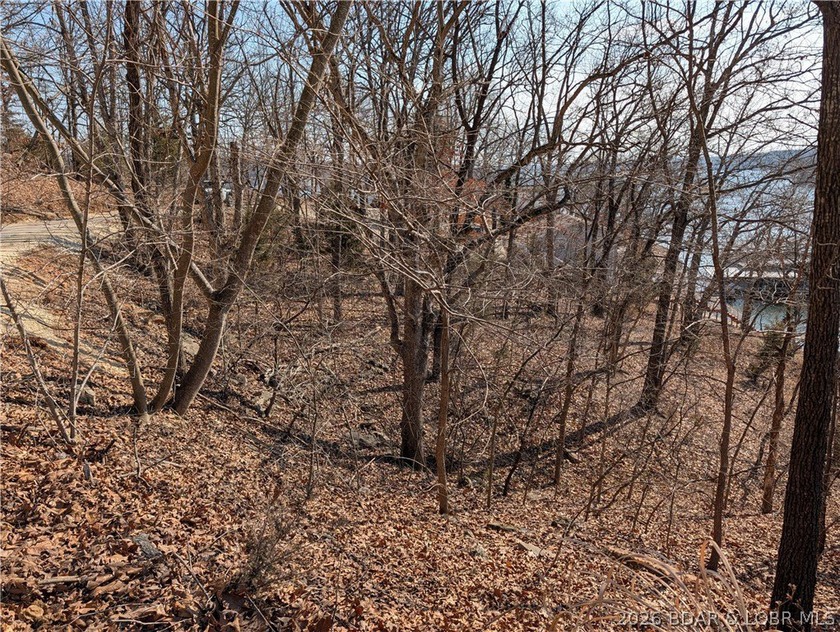 LAKE OF THE OZARKS - A very short walk to Paradise. Awesome - photo 13