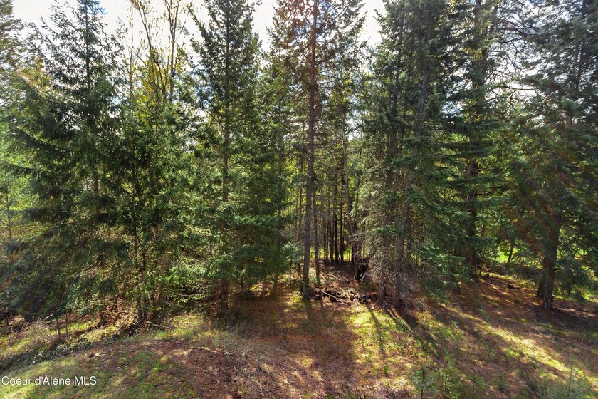 If you've been looking for that perfect North Idaho spot with - photo 36