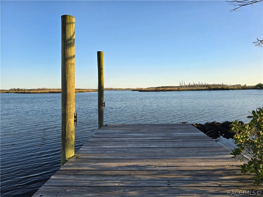 Private Island Offering---Boat Access Only! This is a rare - photo 22