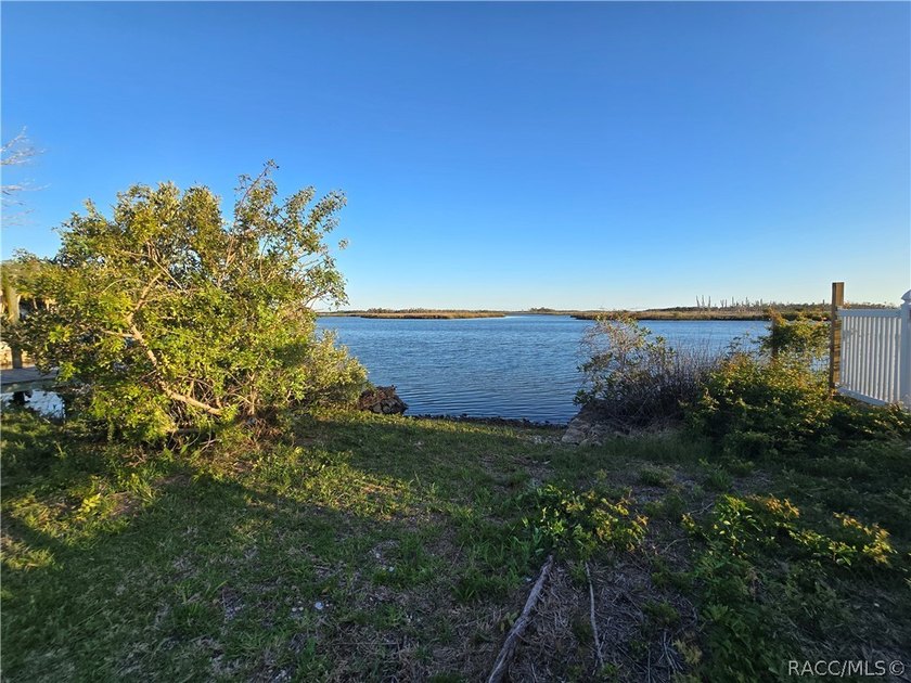 Private Island Offering---Boat Access Only! This is a rare - photo 24