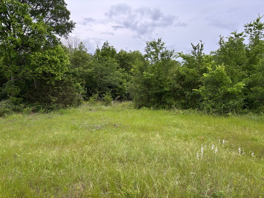 26.5 Acres - Hunting, Livestock, or Build Site If you've been - photo 2