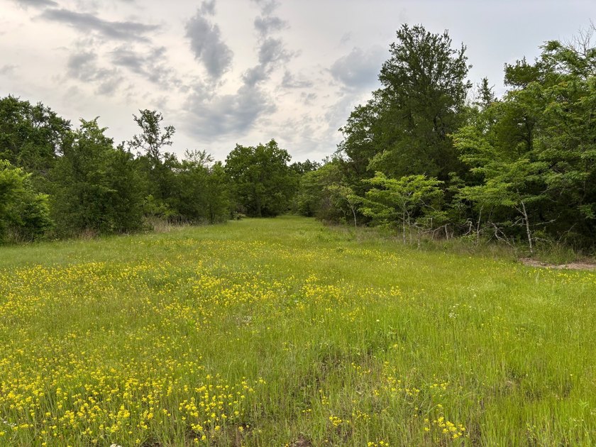 26.5 Acres - Hunting, Livestock, or Build Site If you've been - photo 3