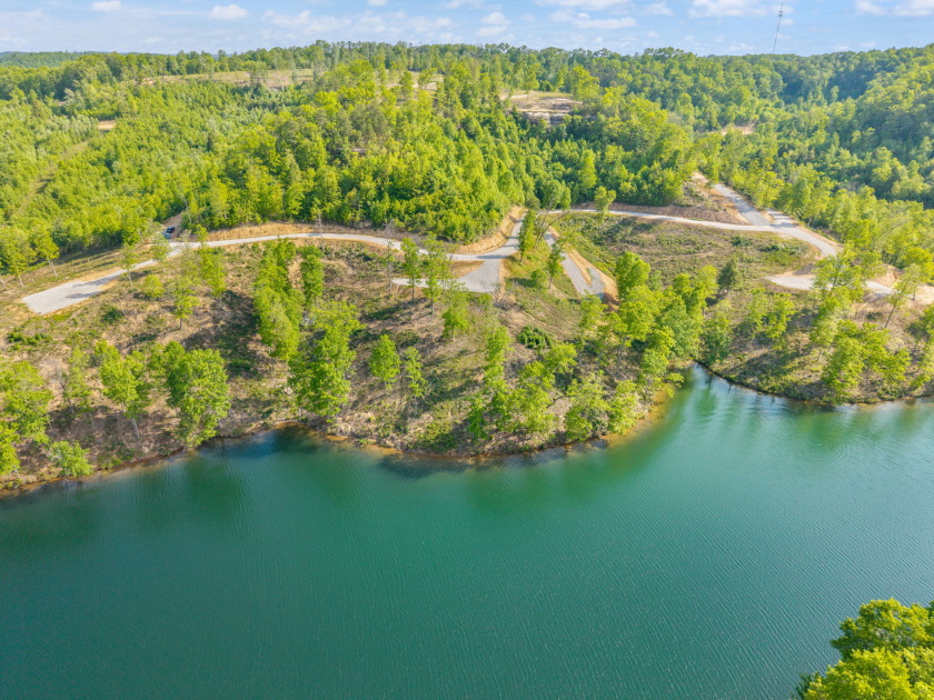 LAKE FRONT BUILDING LOT ON WOOD CREEK LAKE - photo 2