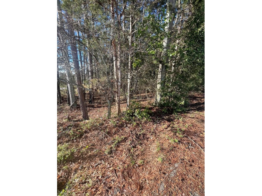 Fantastic opportunity to own a small piece of land near Hartwell - photo 4