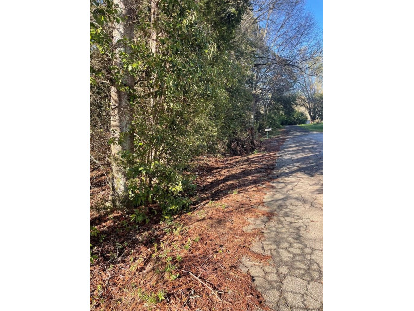 Fantastic opportunity to own a small piece of land near Hartwell - photo 6