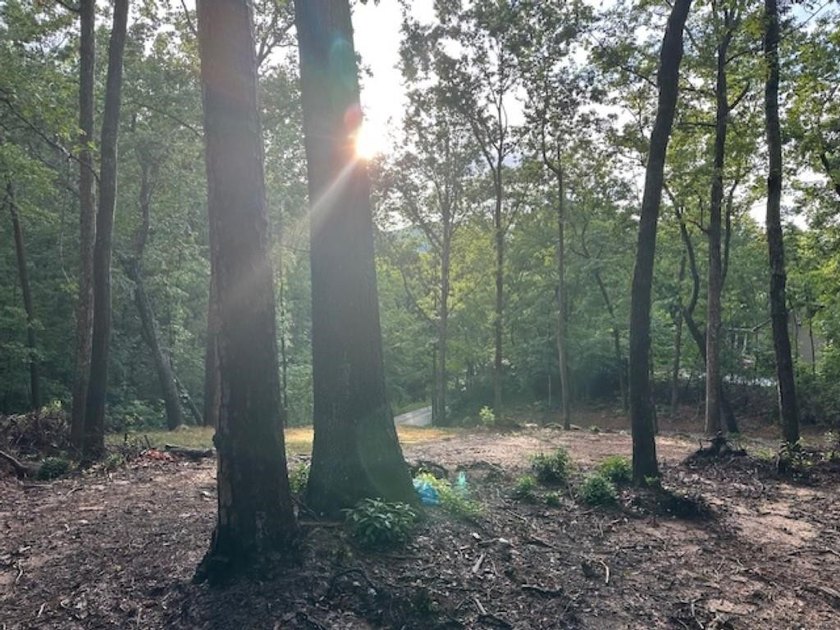 BE A PART OF A PRIVATE LAKE COMMUNITY!!! LARGE 1.46 ACRE LOT - photo 2