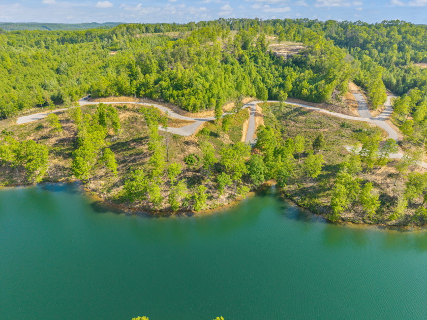 LAKE FRONT BUILDING LOT ON WOOD CREEK LAKE - photo 7