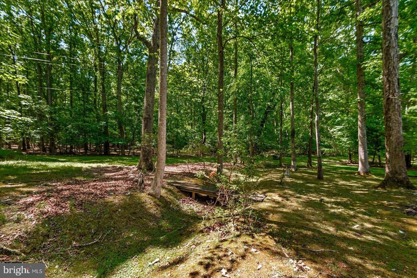 220 Creekside Drive in Lake of the Woods welcomes you! Location - photo 42