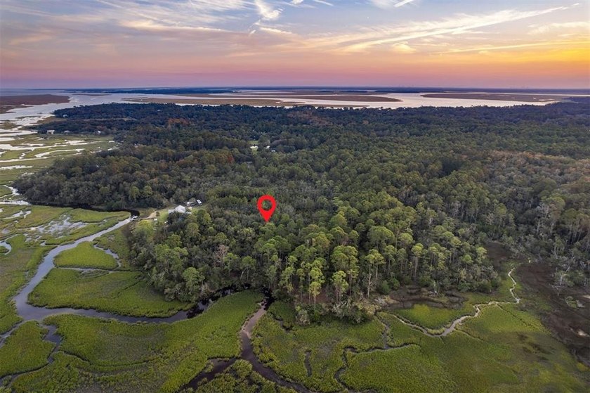 Peaceful Marshfront Retreat - 3.26 Acres tucked along the marsh - photo 22