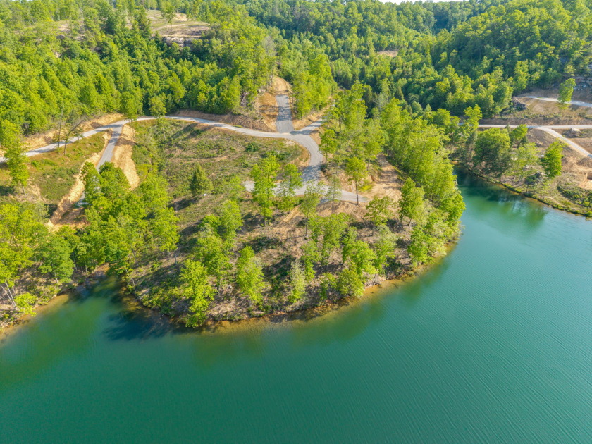 LAKE FRONT BUILDING LOT ON WOOD CREEK LAKE - photo 11