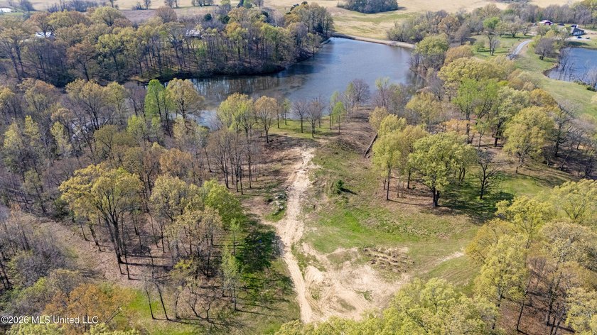 Discover a truly rare and breathtaking property in Lake - photo 11