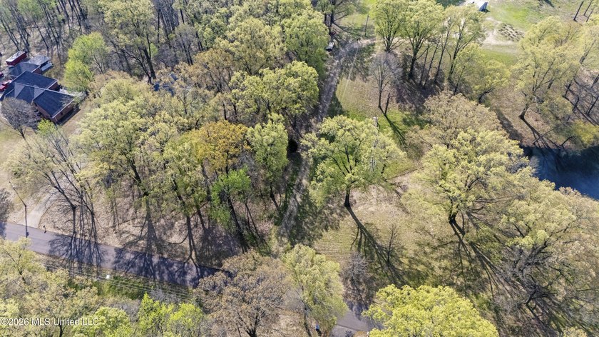 Discover a truly rare and breathtaking property in Lake - photo 13
