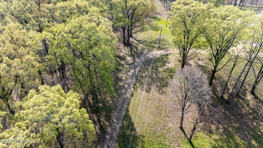 Discover a truly rare and breathtaking property in Lake - photo 15