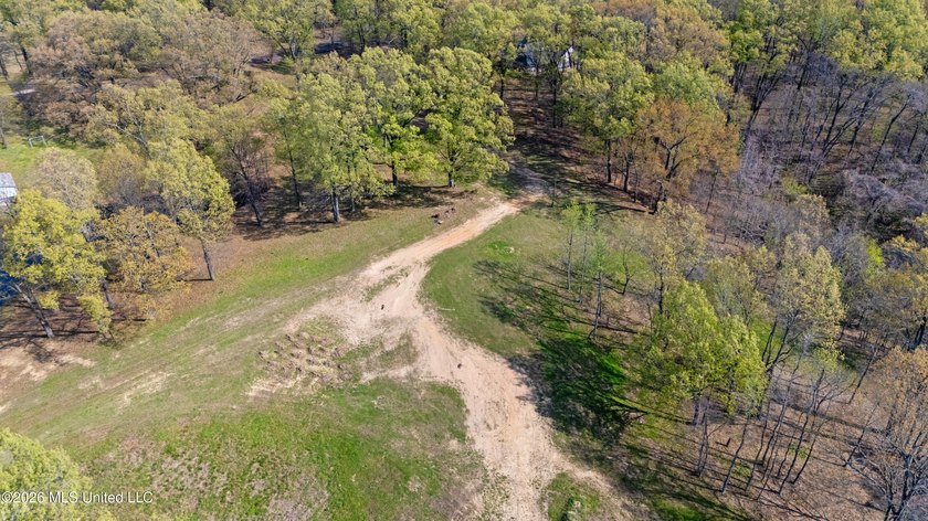 Discover a truly rare and breathtaking property in Lake - photo 17