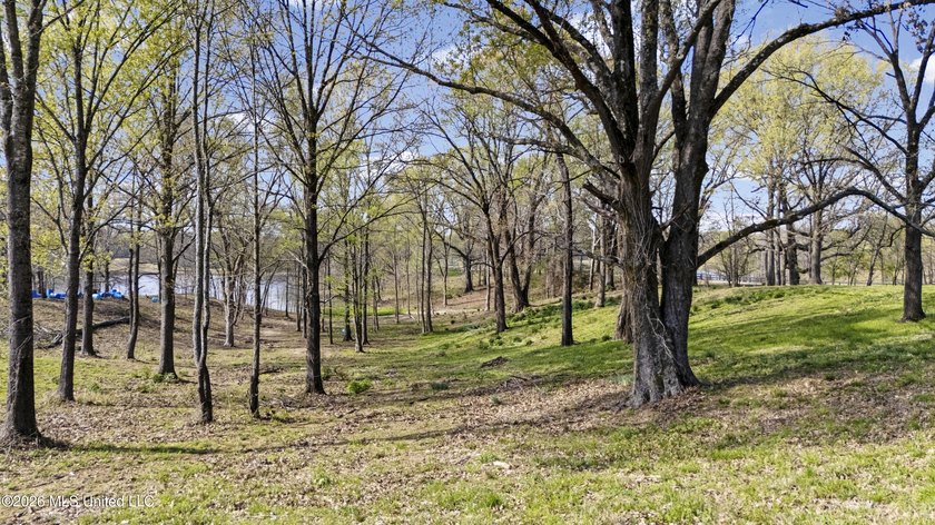 Discover a truly rare and breathtaking property in Lake - photo 18