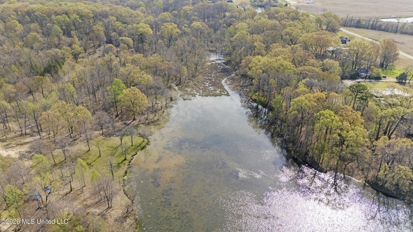 Discover a truly rare and breathtaking property in Lake - photo 22