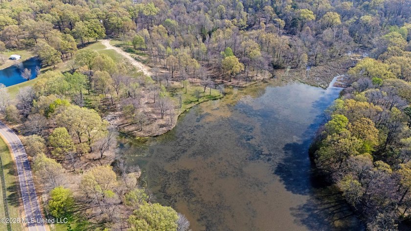 Discover a truly rare and breathtaking property in Lake - photo 26