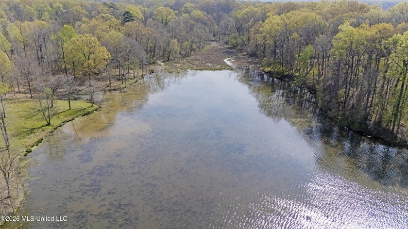 Discover a truly rare and breathtaking property in Lake - photo 30