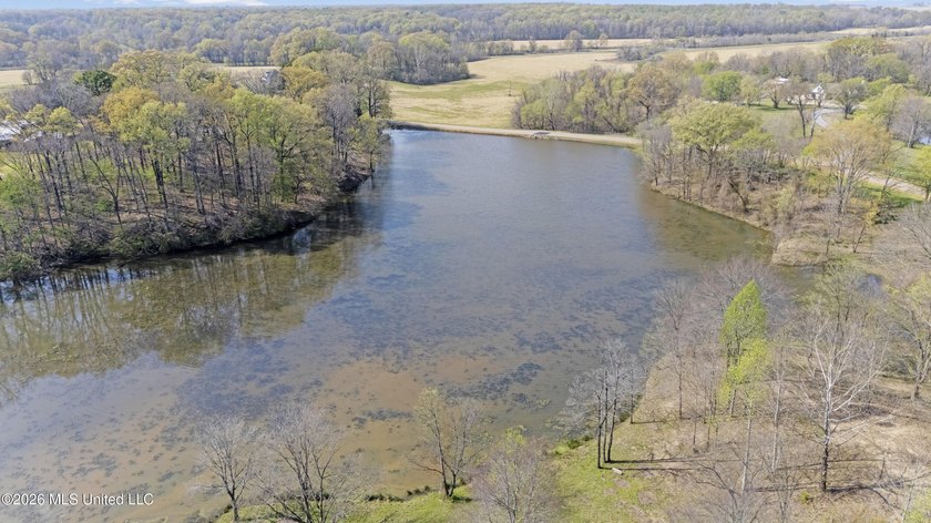 Discover a truly rare and breathtaking property in Lake - photo 31