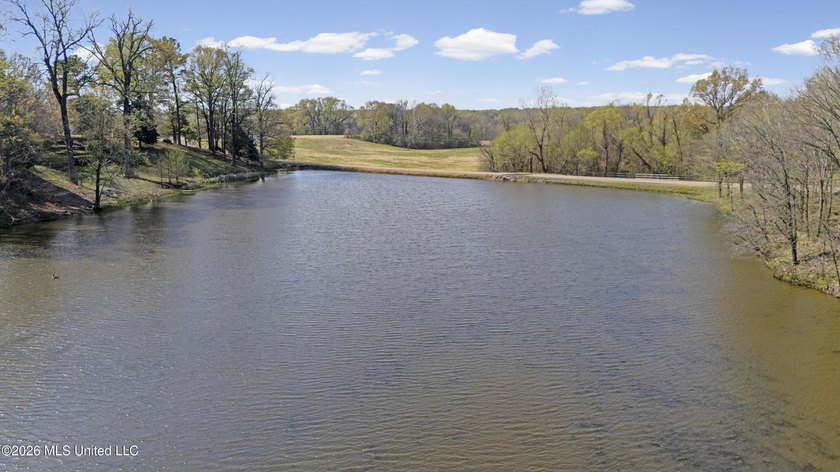 Discover a truly rare and breathtaking property in Lake - photo 32