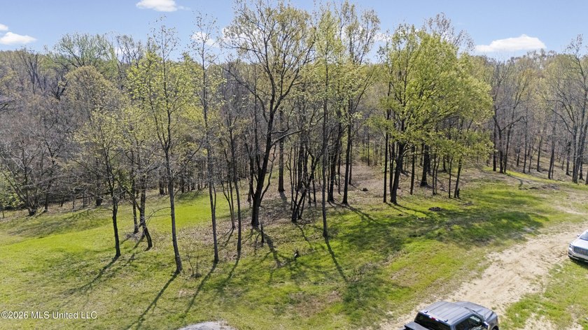 Discover a truly rare and breathtaking property in Lake - photo 35