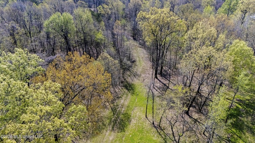 Discover a truly rare and breathtaking property in Lake - photo 36