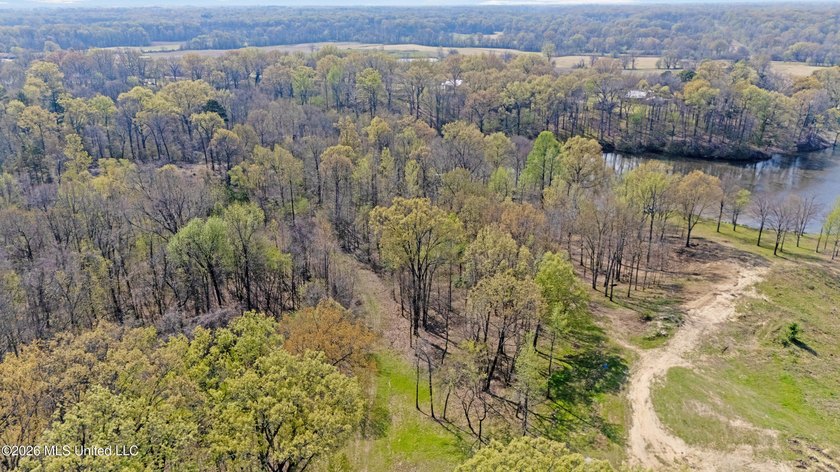 Discover a truly rare and breathtaking property in Lake - photo 37
