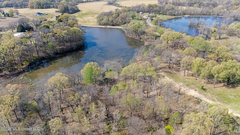 Discover a truly rare and breathtaking property in Lake - photo 38
