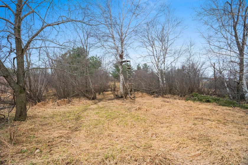15.36 acre property featuring a 6 acre spring fed private lake - photo 45