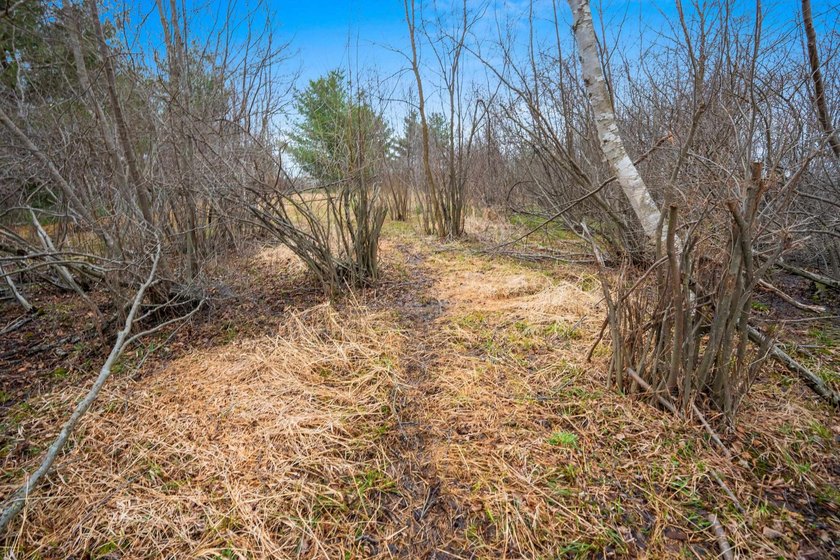 15.36 acre property featuring a 6 acre spring fed private lake - photo 46