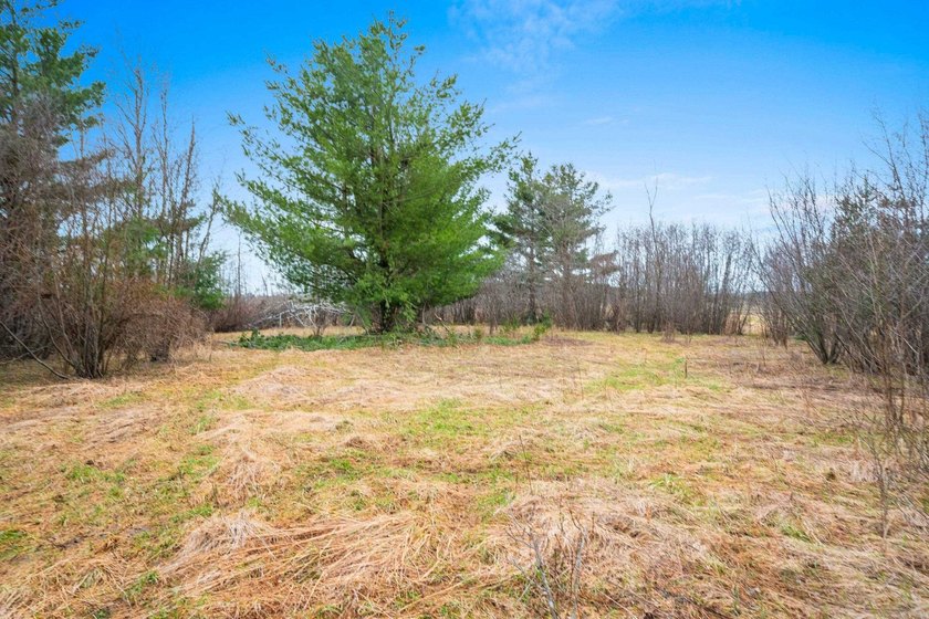 15.36 acre property featuring a 6 acre spring fed private lake - photo 49