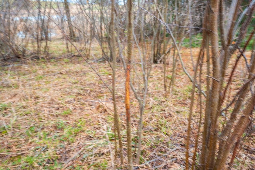 15.36 acre property featuring a 6 acre spring fed private lake - photo 50