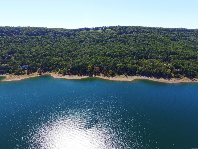 This is the best remaining LAKEFRONT lot in Diamond Bluff!! - photo 8
