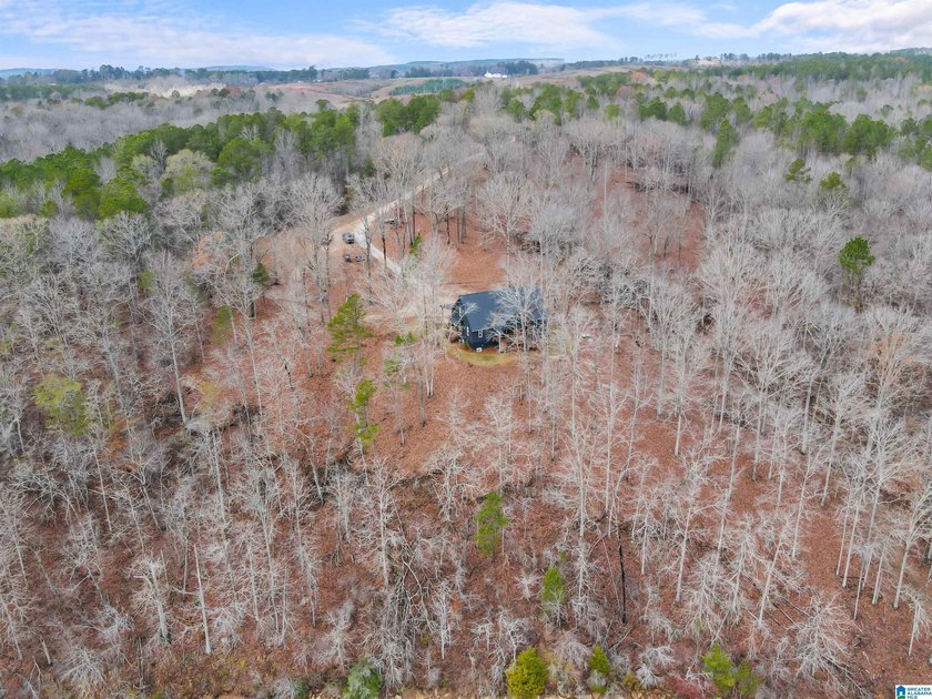 This 11+/- acre property in Randolph County, Alabama, features a - photo 3