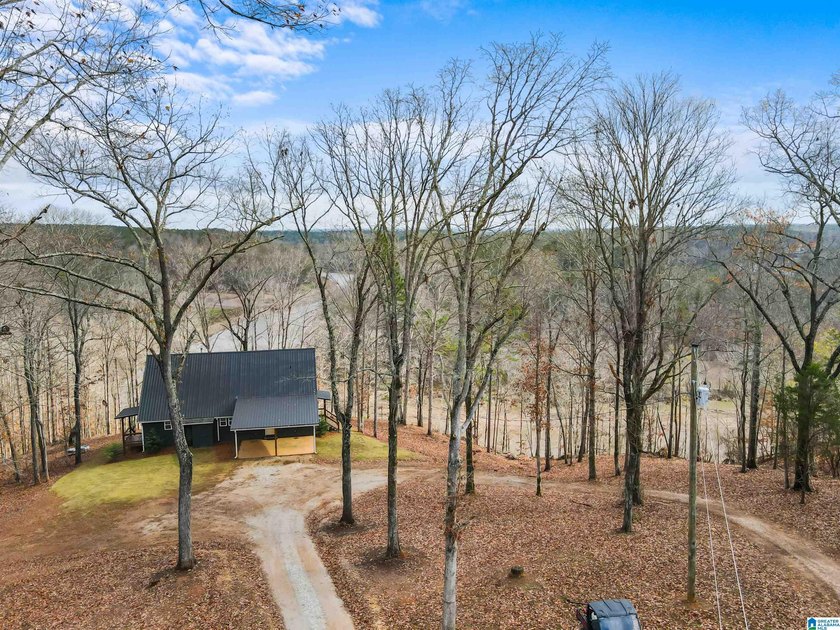 This 11+/- acre property in Randolph County, Alabama, features a - photo 4