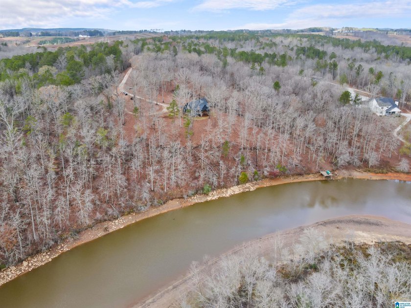 This 11+/- acre property in Randolph County, Alabama, features a - photo 8