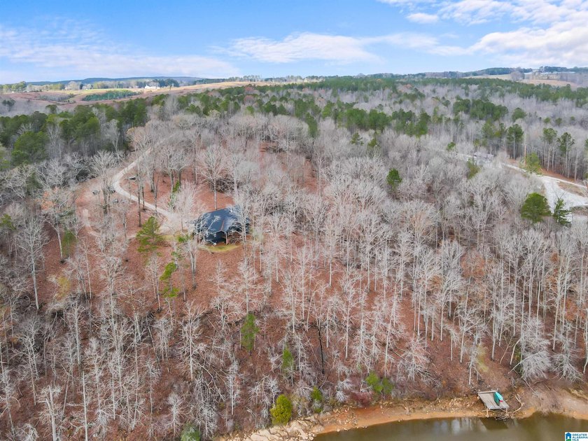 This 11+/- acre property in Randolph County, Alabama, features a - photo 10
