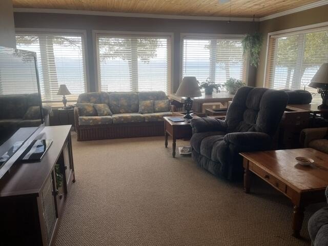 Lake Huron living out your backdoor and all it has to offer from - photo 7