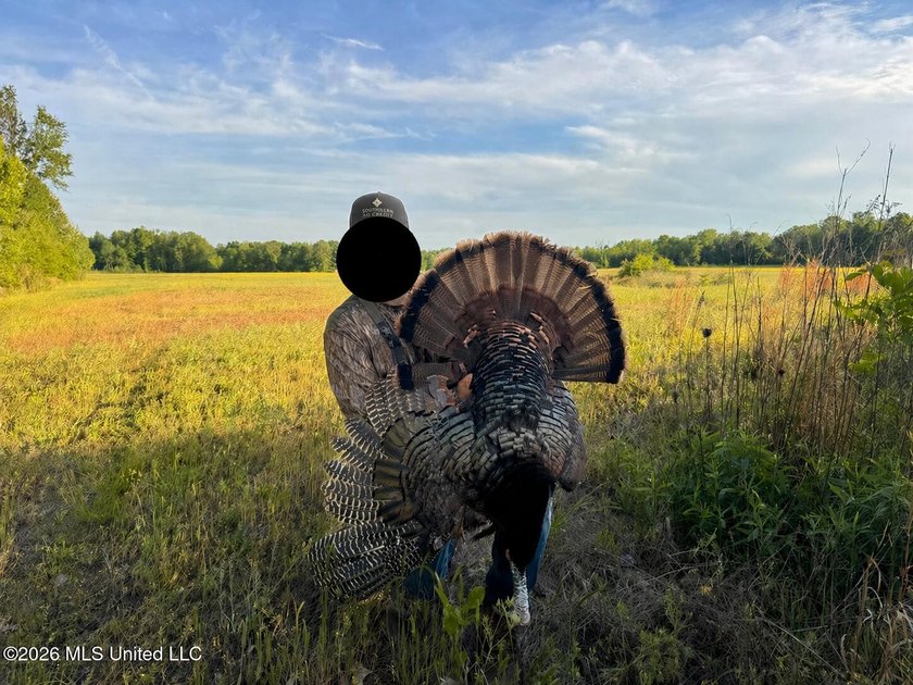 This exceptional 176+/- acre tract in Tippah County offers a - photo 3