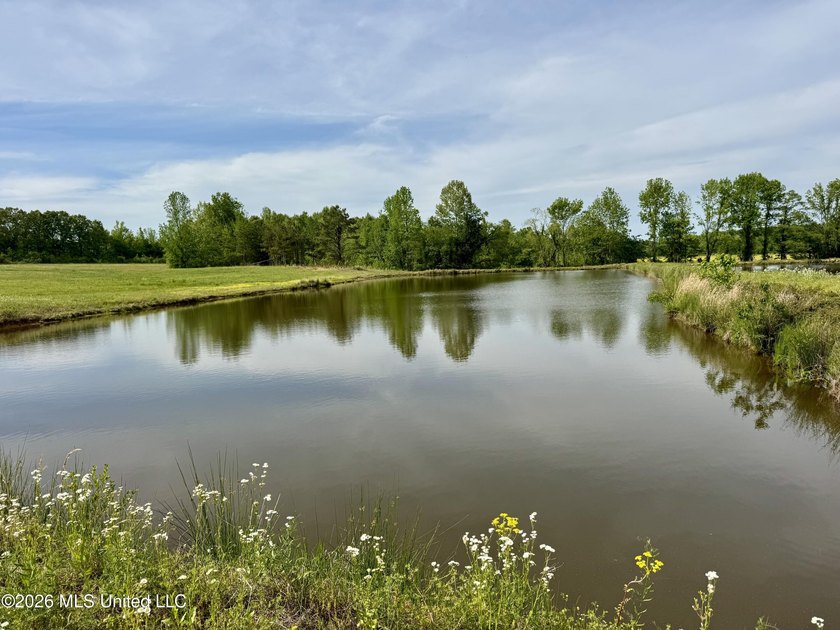 This exceptional 176+/- acre tract in Tippah County offers a - photo 4