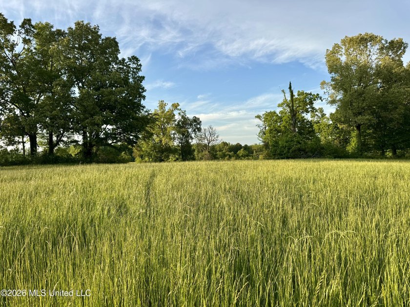 This exceptional 176+/- acre tract in Tippah County offers a - photo 8