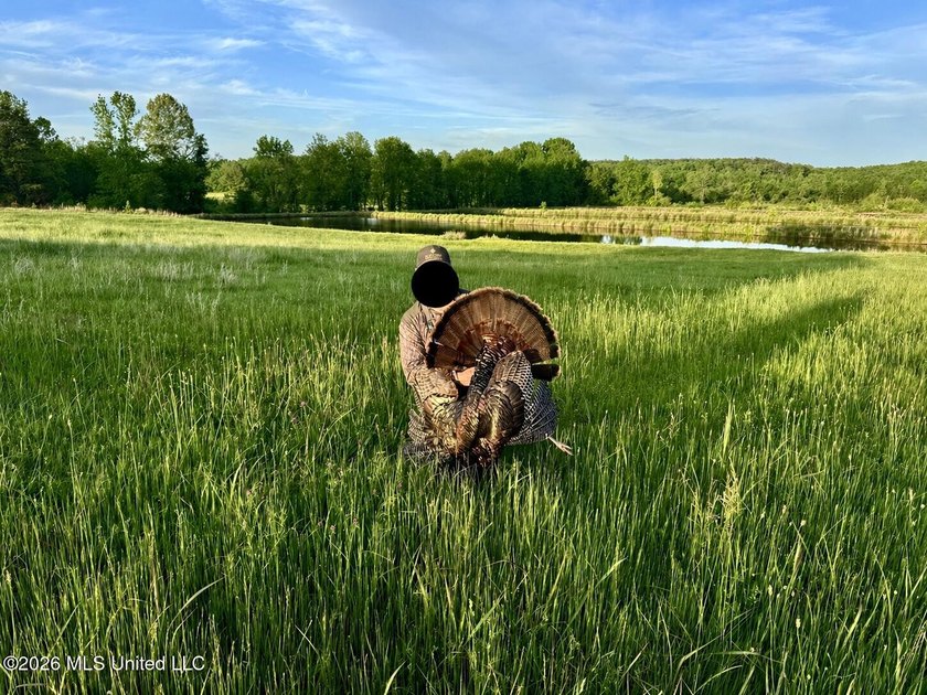 This exceptional 176+/- acre tract in Tippah County offers a - photo 10
