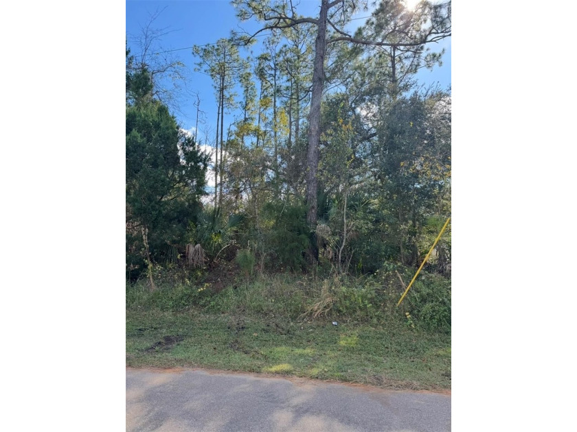 Location, Location, Location! This desirable lot is ready for - photo 3