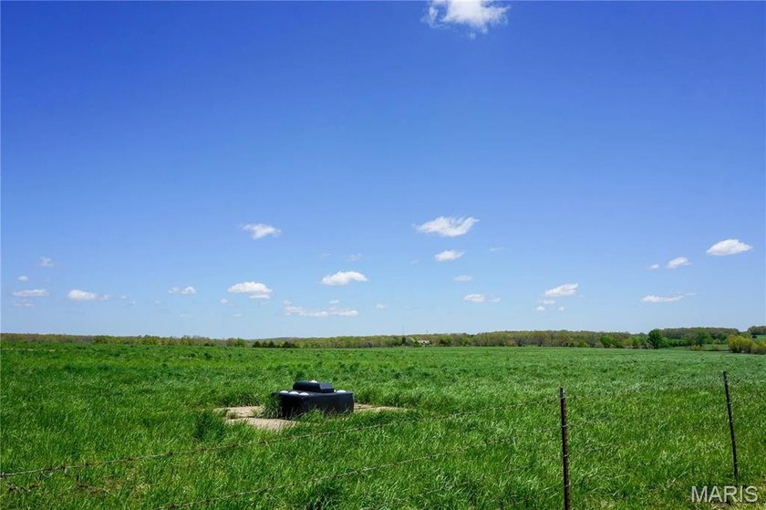 185 m/l acres between Rolla &amp; St. James with CR 3120 frontage - photo 12