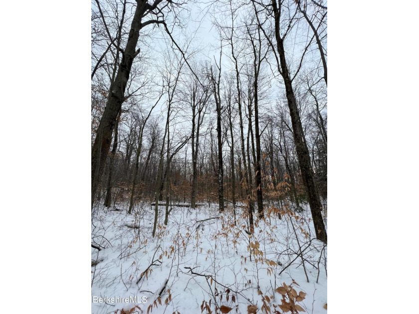 115 Lady Of The Lake Ct, Becket, MA 01223, 3455112