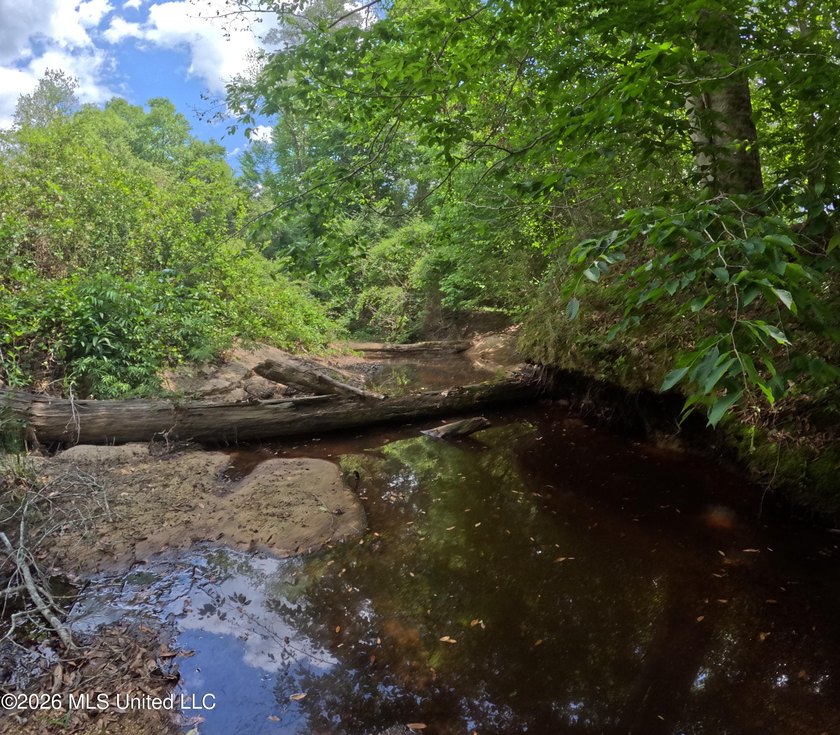 255+/- Acres | Hunting &amp; Recreation Tract | Braxton, MS If - photo 2