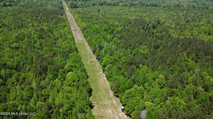 255+/- Acres | Hunting &amp; Recreation Tract | Braxton, MS If - photo 5