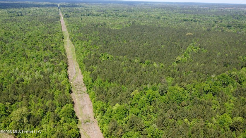 255+/- Acres | Hunting &amp; Recreation Tract | Braxton, MS If - photo 10